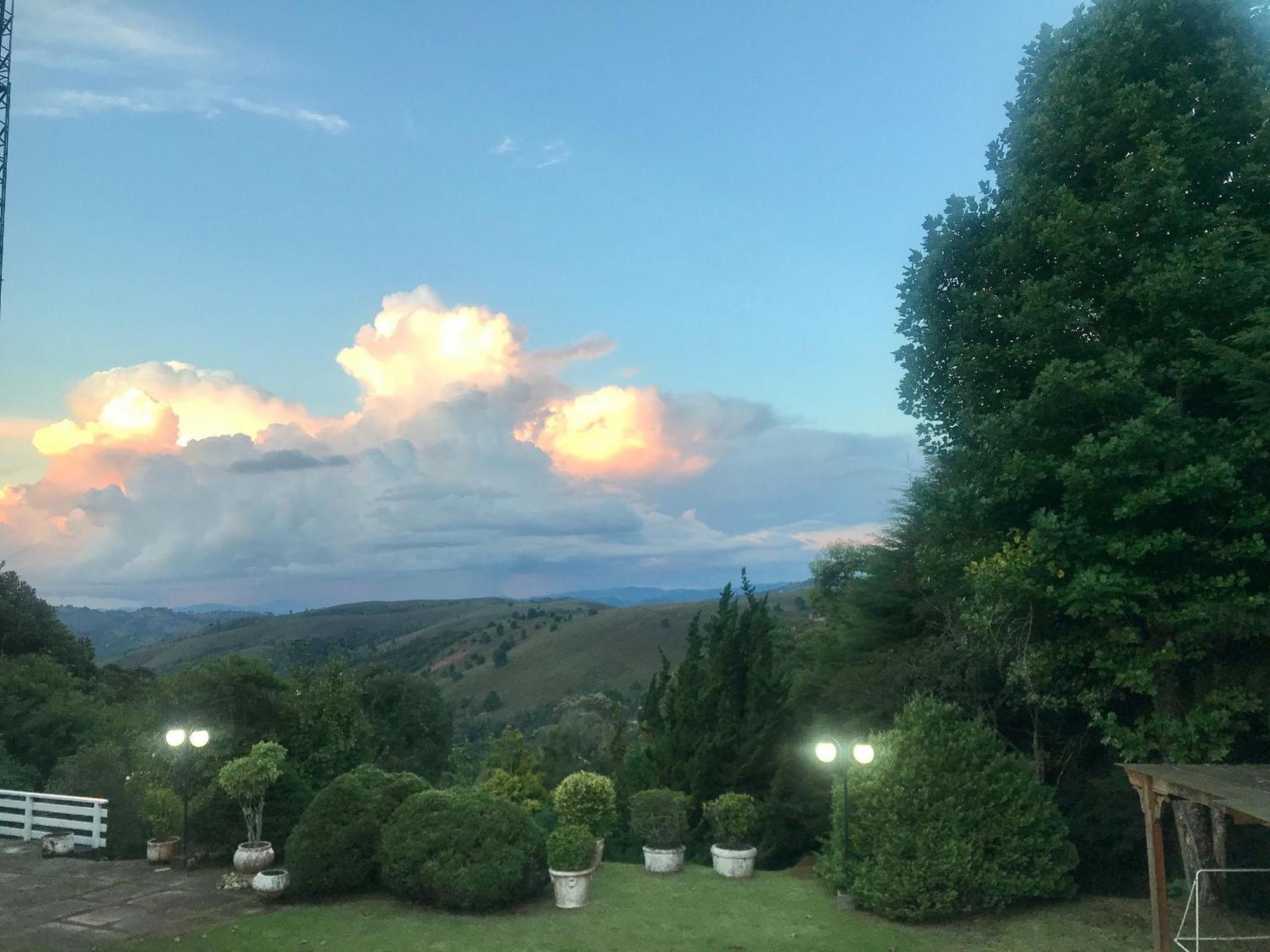 Capivari Vista Incrivel Da Natureza *